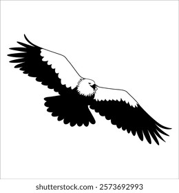 American Eagle Bird Silhouette Vector illustration