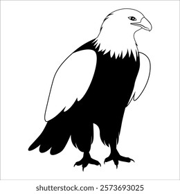 American Eagle Bird Silhouette Vector illustration