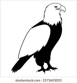 American Eagle Bird Silhouette Vector illustration