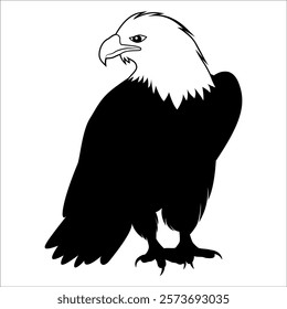 American Eagle Bird Silhouette Vector illustration