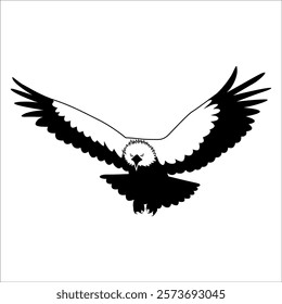 American Eagle Bird Silhouette Vector illustration