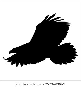 American Eagle Bird Silhouette Vector illustration