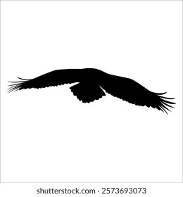 American Eagle Bird Silhouette Vector illustration