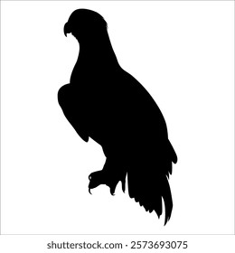 American Eagle Bird Silhouette Vector illustration