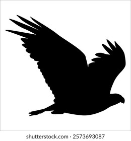 American Eagle Bird Silhouette Vector illustration