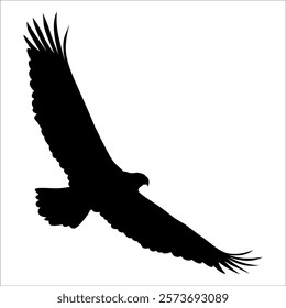 American Eagle Bird Silhouette Vector illustration