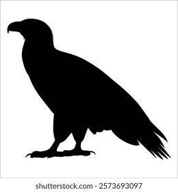 American Eagle Bird Silhouette Vector illustration