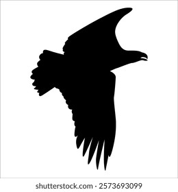 American Eagle Bird Silhouette Vector illustration