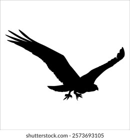 American Eagle Bird Silhouette Vector illustration