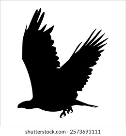 American Eagle Bird Silhouette Vector illustration