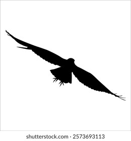 American Eagle Bird Silhouette Vector illustration