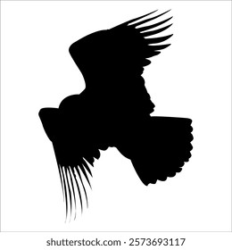 American Eagle Bird Silhouette Vector illustration