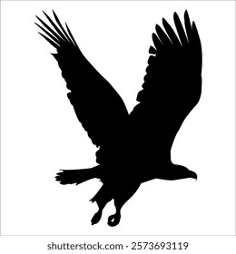 American Eagle Bird Silhouette Vector illustration