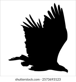 American Eagle Bird Silhouette Vector illustration