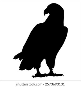 American Eagle Bird Silhouette Vector illustration