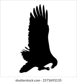 American Eagle Bird Silhouette Vector illustration