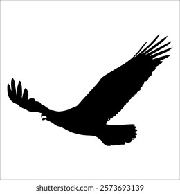 American Eagle Bird Silhouette Vector illustration