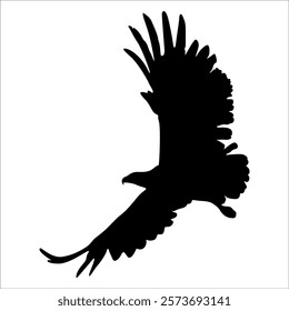 American Eagle Bird Silhouette Vector illustration