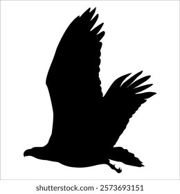 American Eagle Bird Silhouette Vector illustration