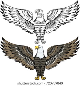 American Eagle in color and black and white