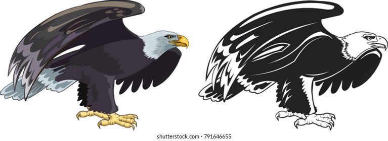American eagle Color and BW