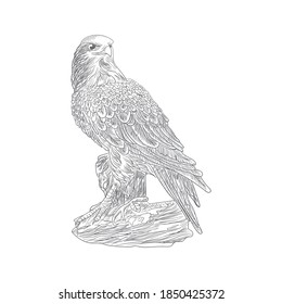 American eagle drawing sketch vector illustration