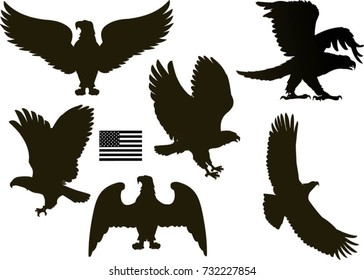 American eagle and flag