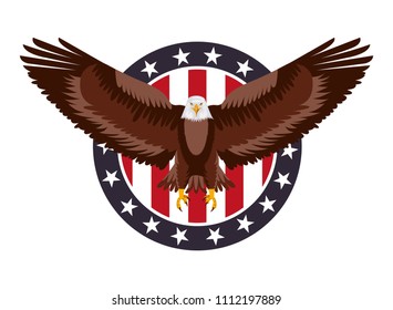 american eagle flag in label decoration