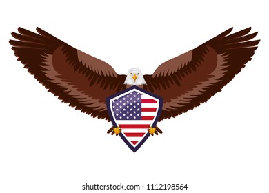 american eagle flag in shield national symbol
