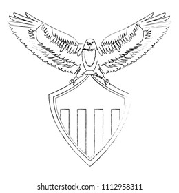 american eagle flag shield national symbol
