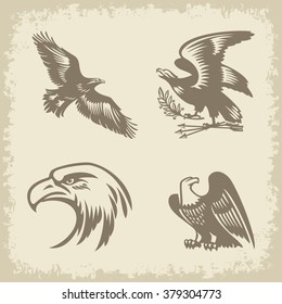 American eagle four vector images light background