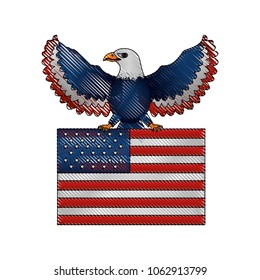 american eagle holding flag emblem national