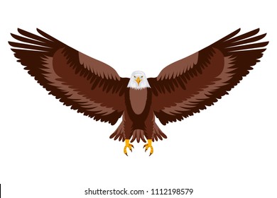 American Eagle Open Wings Bird