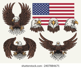 American eagle set logotypes colorful with national flag of USA near bird in different positions vector illustration