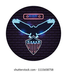 american eagle and shield flag neon on wall