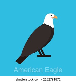 American eagle sitting flat icon, watching, vector illustration