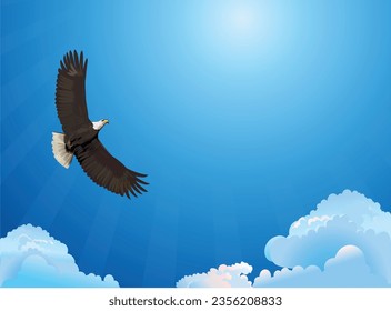 American eagle in the sky