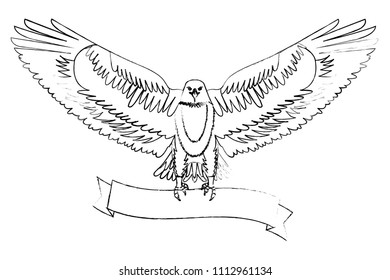 american eagle spread wings with ribbon in the talons