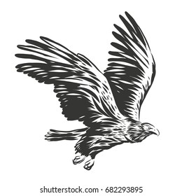 American eagle vector illustration EPS10 ink drawing