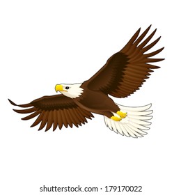 American eagle. Vector isolated animal.