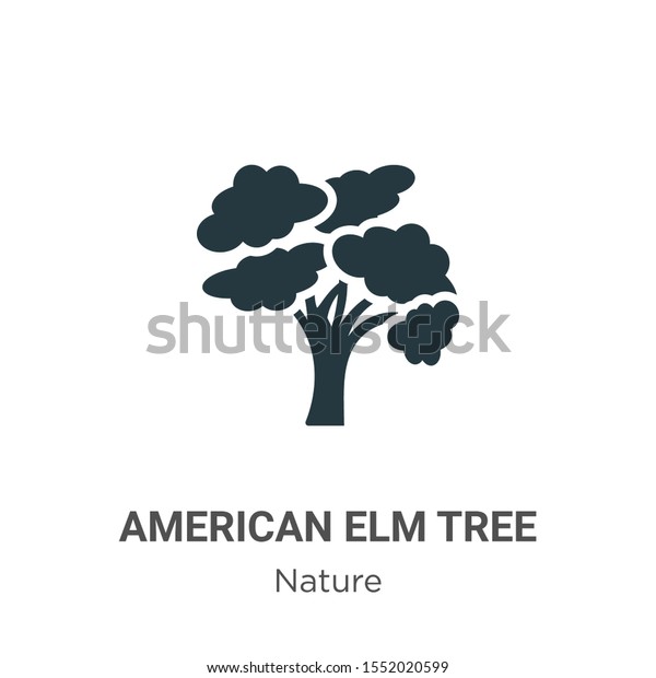 American elm tree vector\
icon on white background. Flat vector american elm tree icon symbol\
sign from modern nature collection for mobile concept and web apps\
design.