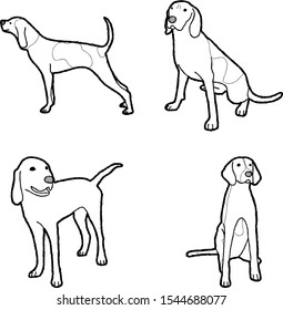 American English Coonhound Animal Vector Illustration Hand Drawn Cartoon Art