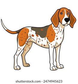 American English Coonhound dog vector illustration isolated on white background in cartoon style.