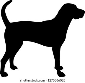 American English Coonhound silhouette real in black