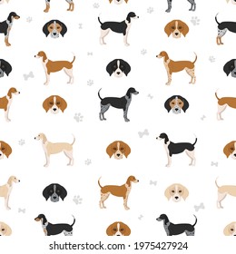 American englisn coonhound all colours seamless pattern. Different coat colors set.  Vector illustration