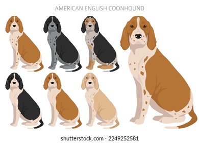 American englisn coonhound all colours clipart. Different coat colors set.  Vector illustration