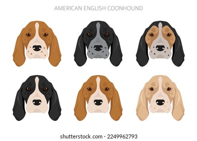 American englisn coonhound all colours clipart. Different coat colors set.  Vector illustration