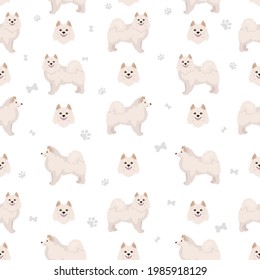 American eskimo dog all colours seamless pattern.. Different coat colors set.  Vector illustration