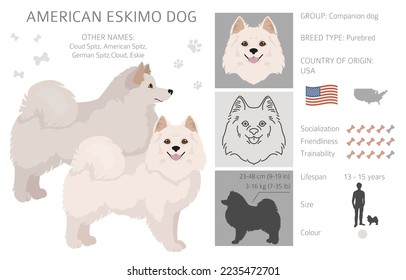 American eskimo dog all colours clipart. Different coat colors set.  Vector illustration