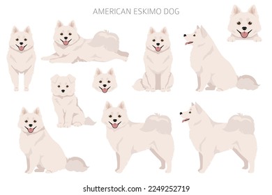 El perro esquimal americano todos los colores se cruzan. Colores de abrigo diferentes.  Ilustración del vector